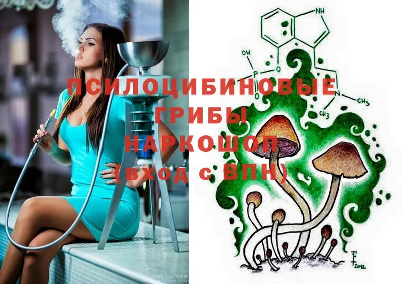 KRAKEN зеркало  Сим  Псилоцибиновые грибы Psilocybe 